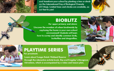 Biodiversity Week for Schools