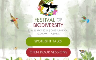 Festival of Biodiversity