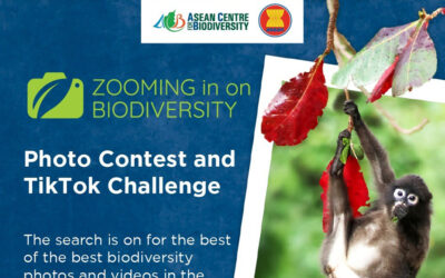 Zooming in on Biodiversity